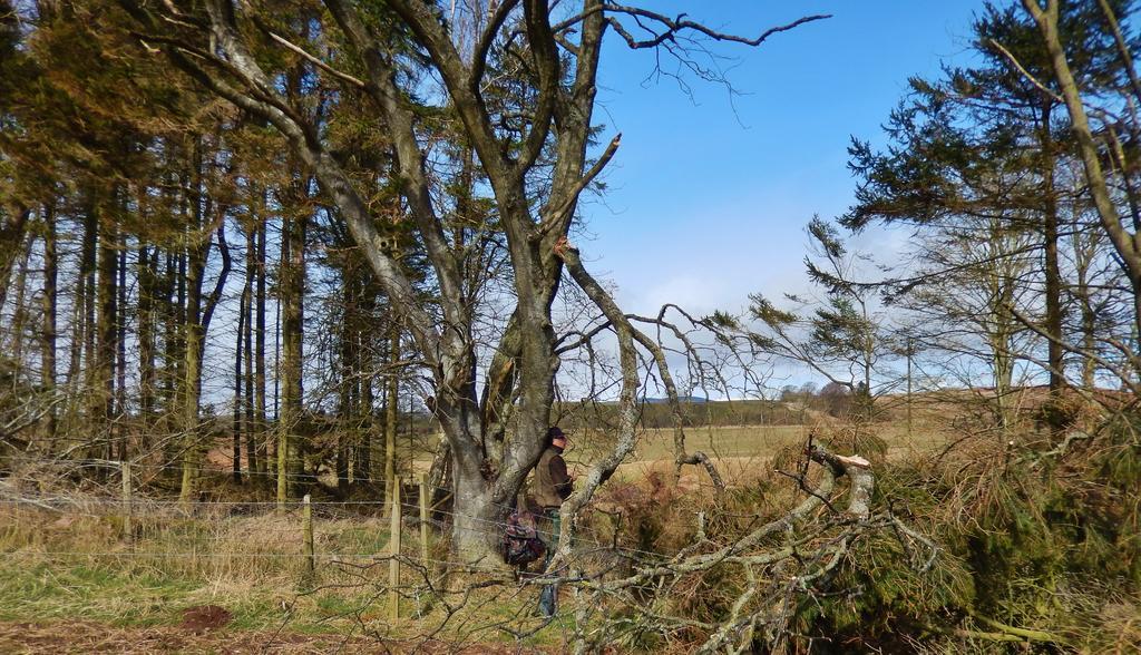 Scotland Paradise Relax Accommodation By Shooting Club Kirriemuir Balintore  Экстерьер фото